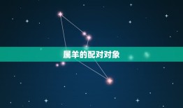 属羊的跟什么属相相合(十二生肖配对大介绍)