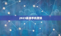 2023最潮手机壁纸，找一张好看的潮的手机壁纸