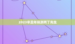 2023辛丑年预测丙丁先生，不同日柱看2023年辛丑年运势？