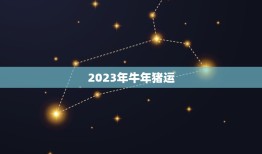 2023年牛年猪运，猪在牛年运势2023运势详解