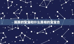 属猴的宝宝和什么属相的宝宝合，属猴和属鼠生什么属相宝宝更好？