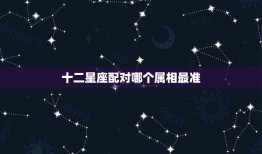 十二星座配对哪个属相最准，十二生肖和十二星座哪个更准确些