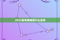 2023去年属相是什么生肖，2023年是什么属相年