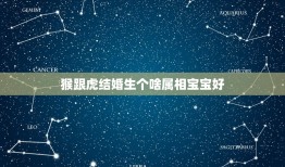 猴跟虎结婚生个啥属相宝宝好，我老公属猴，我属狗，我们生个属虎的孩子，好