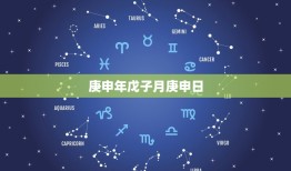 庚申年戊子月庚申日，庚申年戊子月庚申日壬午时