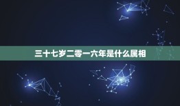 三十七岁二零一六年是什么属相，三十七岁属什么生肖？