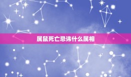 属鼠死亡忌讳什么属相，属鼠和什么属相相克