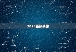 2023新款头像，2023年新款车型上市盘点，不容错过，值得期待