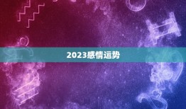 2023感情运势