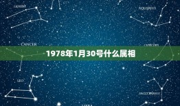 1978年1月30号什么属相，1979年1月30日是什么属相