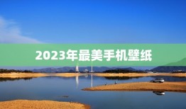 2023年最美手机壁纸，求一张手机壁纸，上面就写四个字，三十而立。