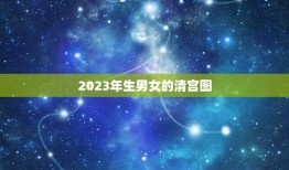 2023年生男女的清宫图，清宫图2023年生男生女表怎么算