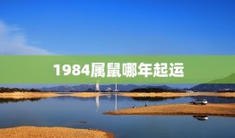 1984属鼠哪年起运(解密属鼠人的命运之路)