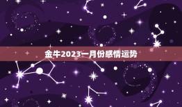 金牛2023一月份感情运势