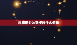 属相鸡办公室摆放什么植物，属鸡人家里放什么植物花好？