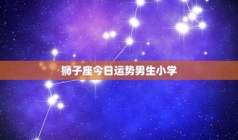 狮子座今日运势男生小学(小狮子今日运势如何)