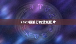 2023最流行的壁纸图片，2023年墙布品牌十大排行榜是什么？