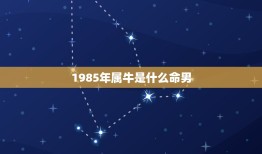 1985年属牛是什么命男，属牛1985年什么命