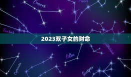 2023双子女的财命(介绍财富运势如何)