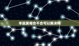 羊鼠属相合不合可以解决吗，属羊和属鼠真的相克吗