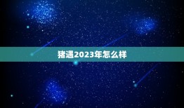 猪遇2023年怎么样(未来猪肉市场前景分析)