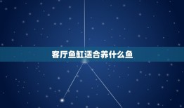 客厅鱼缸适合养什么鱼，鱼缸里养什么鱼好 鱼缸里什么鱼最好养