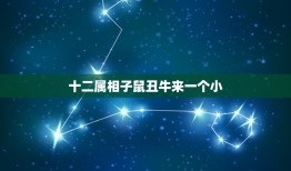 十二属相子鼠丑牛来一个小，子鼠、丑牛、寅虎、卯兔、辰龙、巳蛇、午马