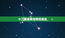 十二星座更佳情侣组合，十二星座情侣配对排行