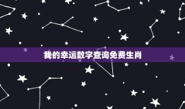 我的幸运数字查询免费生肖，我的幸运数字是多少讲阳历还是阴历