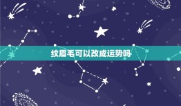 纹眉毛可以改成运势吗