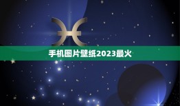 手机图片壁纸2023最火，求好看超清手机壁纸