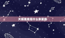 天蝎星座是什么象星座(神秘、独立、敏锐)