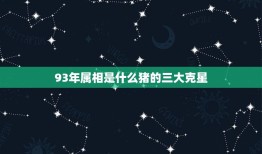 93年属相是什么猪的三大克星，属猪人要远离哪些生肖