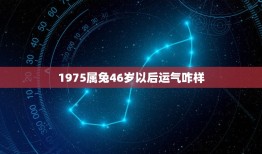 1975属兔46岁以后运气咋样