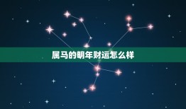 属马的明年财运怎么样(2023年财运展望)