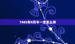 1985年9月牛一生怎么样，1985年的属牛的命怎么样？