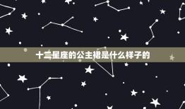 十二星座的公主裙是什么样子的，十二星座儿童公主裙