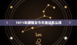 1971年属猪女今天赌运怎么样，1971年猪今年的运气