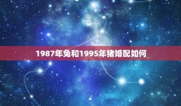 1987年兔和1995年猪婚配如何，我对象1987年属兔，我1995年