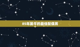 85年属牛的最佳配偶男，农历1985年5月25日属牛男性，最佳配偶是啥