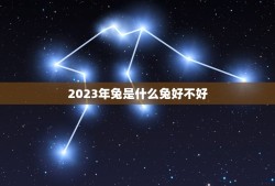 2023年兔是什么兔好不好(讨论兔年的象征意义和文化内涵)