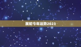 属蛇今年运势2023(蛇行天下财运亨通)