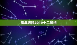 猪年运程2019十二属相，2019猪年十二生肖前身，生肖笔划表