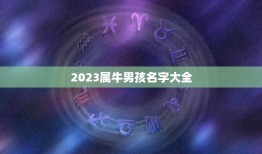 2023属牛男孩名字大全，男孩名字2023年属牛怎么取？