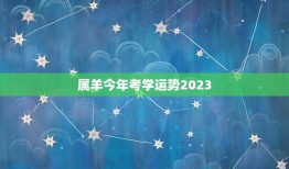 属羊今年考学运势2023