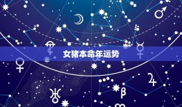 女猪本命年运势，本命年的猪今年运势如何