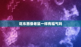 吃东西像老鼠一样有福气吗，人们常说老鼠吃油的典故，请问老鼠真的吃油吗？