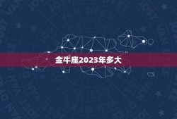 金牛座2023年多大，福特金牛座2023海外版