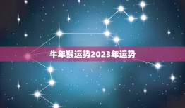 牛年猴运势2023年运势，2023年生肖猴运势详解