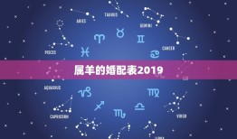 属羊的婚配表2019，属羊2019年运势及运程